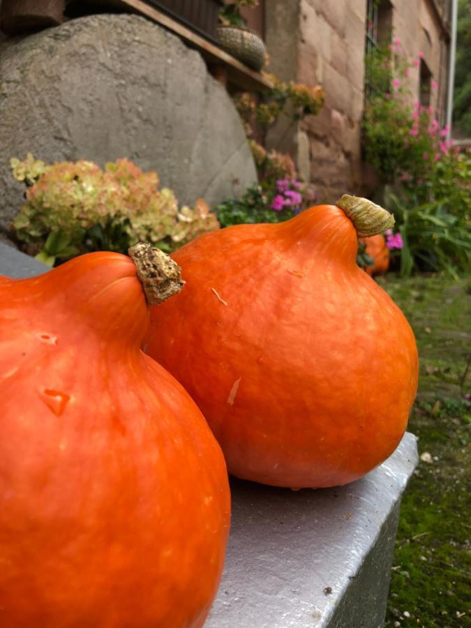 Ferienwohnung Kroppenmuehle Schoenburg Kültér fotó